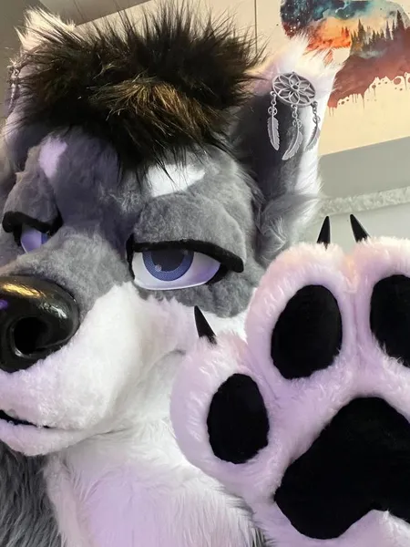 Lupi in his fursuit